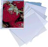 Buste forate in plastica antiriflesso 23x33