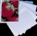 Buste forate in plastica antiriflesso 23x33